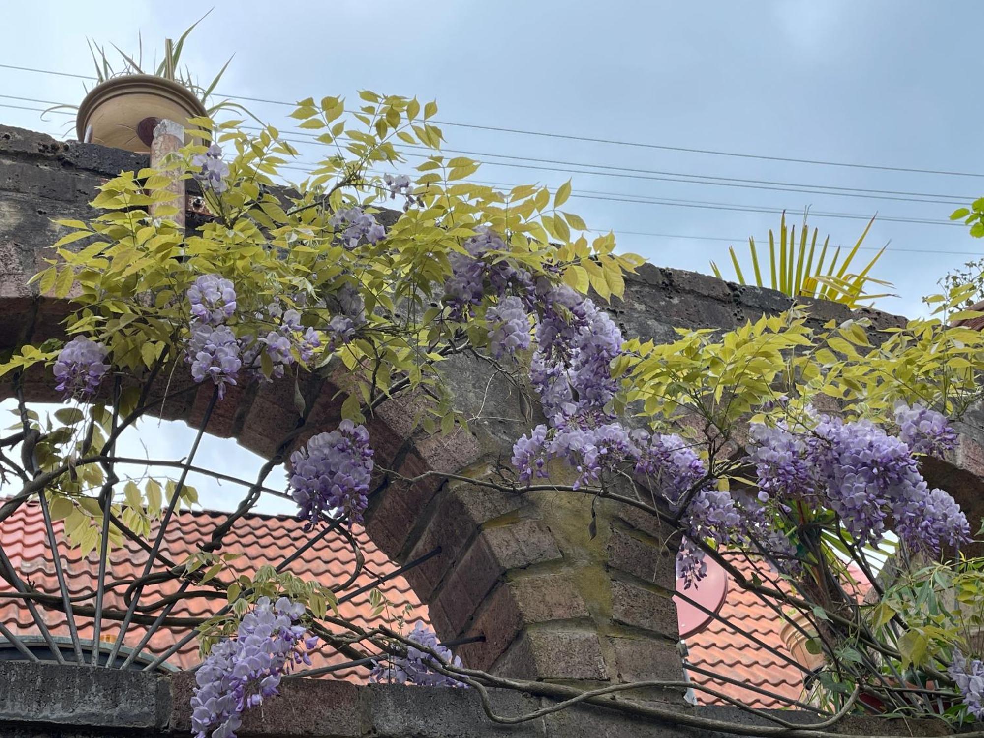 "Casita Linda "Am Donnersberg Villa Dannenfels Ngoại thất bức ảnh